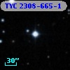 TYC 2308-665-1
