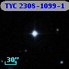 TYC 2308-1099-1