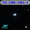 TYC 2308-1481-1
