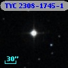 TYC 2308-1745-1