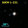 StKM 1-231