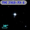 TYC 2313-73-1