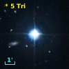 *   5 Tri