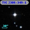 TYC 2308-349-1
