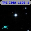 TYC 2309-1106-1