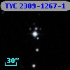 TYC 2309-1267-1