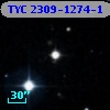 TYC 2309-1274-1