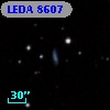 LEDA    8607