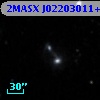 2MASX J02203011+2909502