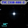TYC 2310-666-1