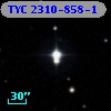 TYC 2310-858-1