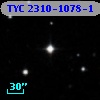 TYC 2310-1078-1