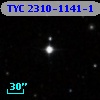 TYC 2310-1141-1