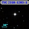 TYC 2310-1203-1