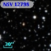 NSV 12798