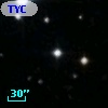 TYC 1775-304-1