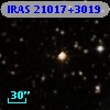 IRAS 21017+3019