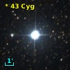 V* V2121 Cyg