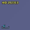 HD 202313