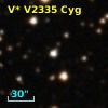 V* V2335 Cyg