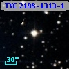TYC 2198-1313-1
