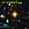 V* V1955 Cyg