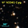 V* V2341 Cyg