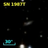 SN 1987T