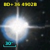 BD+36  4902B