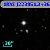 1RXS J223951.3+364331