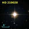 HD 219028