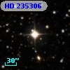 HD 235306