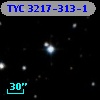 TYC 3217-313-1
