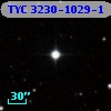 TYC 3230-1029-1