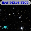 IRAS 20314+5022