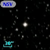 NSV 13917