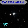TYC 3231-490-1