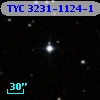 TYC 3231-1124-1
