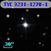 TYC 3231-1270-1
