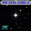 TYC 3231-1295-1