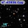 V* V2036 Cyg
