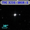 TYC 3231-1018-1