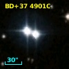 BD+37  4901C