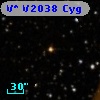 V* V2038 Cyg