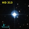HD    313