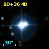 BD+36     4B