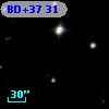 BD+37    31