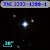 TYC 2272-1299-1