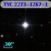 TYC 2273-1267-1