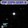 TYC 2273-1237-1